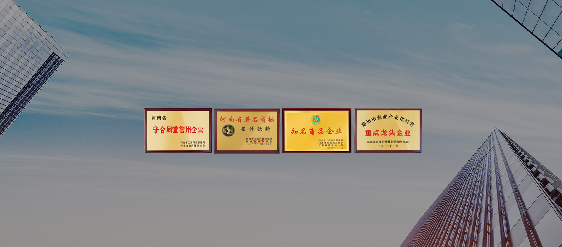 頂真資質實力 · 榮譽見證成績